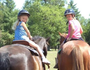 Horse Camps for novice and beginners