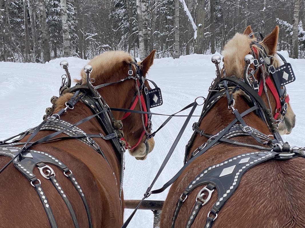 Winter Fun - Ranch Rudolf - Northern Michigan's #1 Guest Ranch