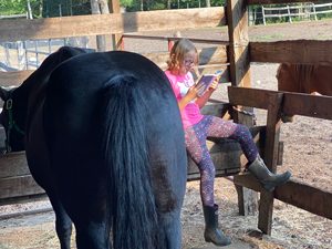 Homework-With-Horses_300x233